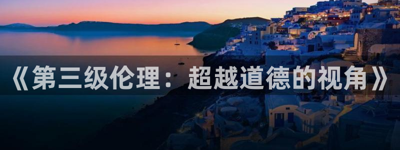 《第三级伦理：超越道德的视角》